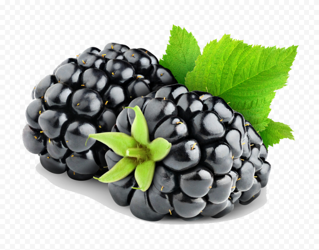 blackberry fruit png hd