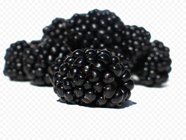 blackberry fruit png