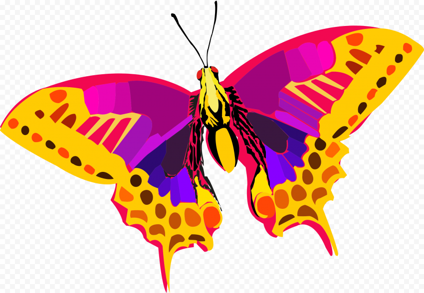 Abstract Colors PNG HD Free download