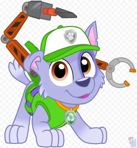 Character Rocky Rainbow Eevee Paw Patrol PNG
