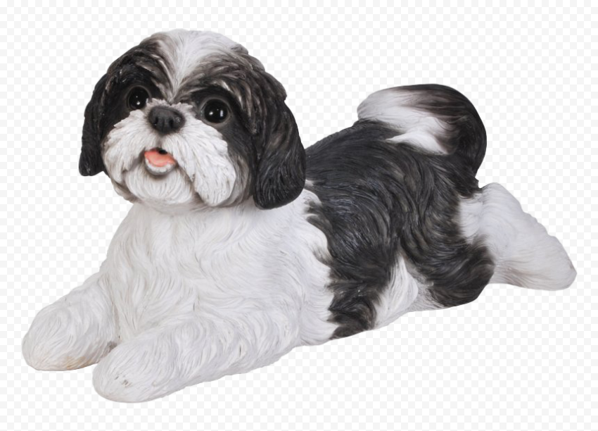 Dog Cute Shih Tzu PNG Photos