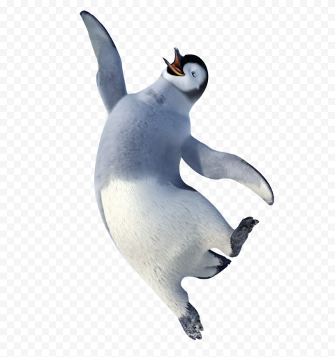 Download Happy Feet PNG Transparent Image