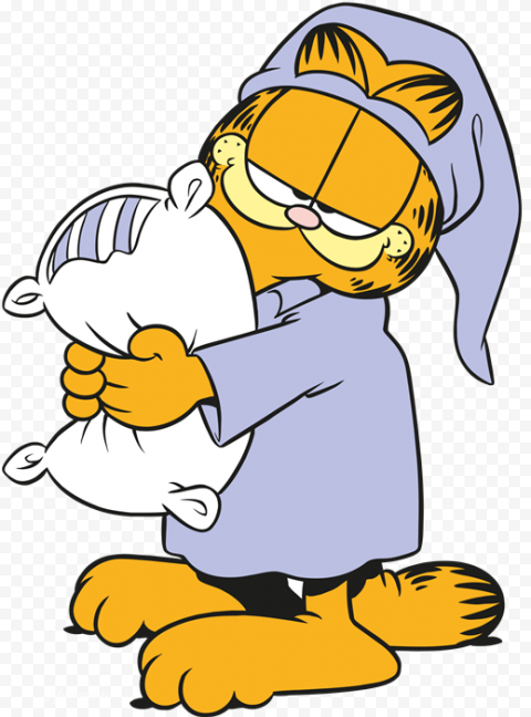 Garfield Cartoon PNG Photo