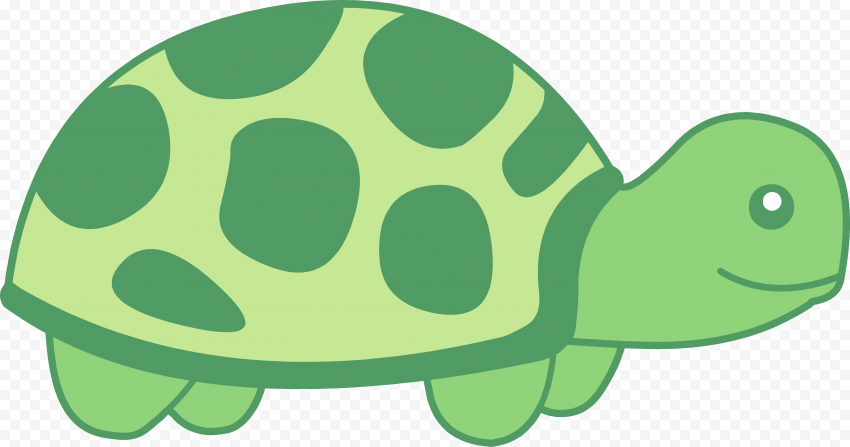 Download Cute Turtle PNG Clipart