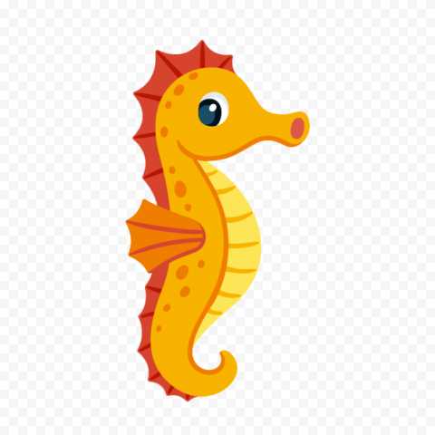 Download Cute Seahorse PNG Free Download