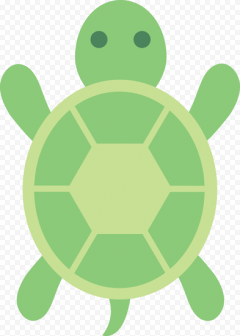 Download Cute Turtle PNG Free Download