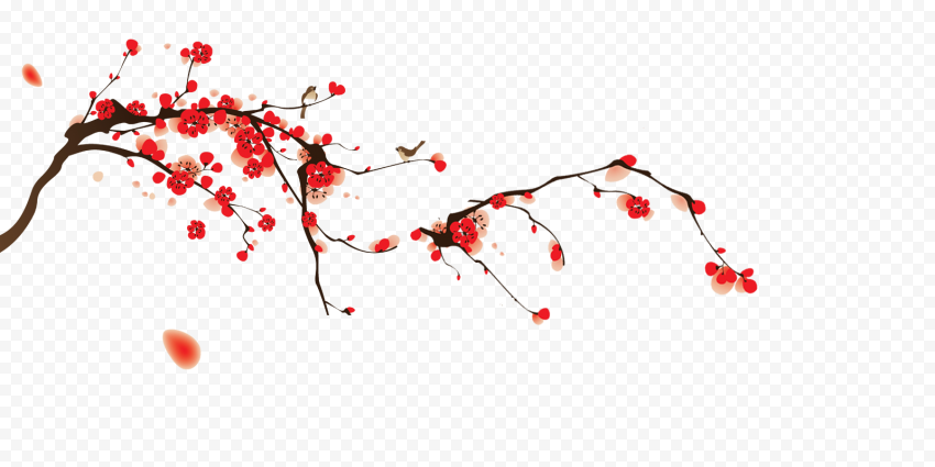 Download Japanese Flowering Cherry Transparent Images PNG