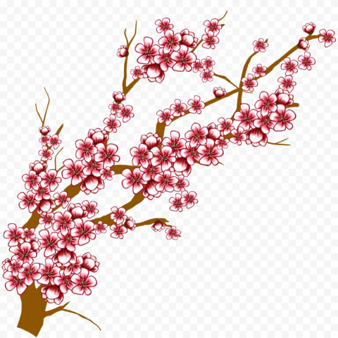 Download Japanese Flowering Cherry Transparent Background
