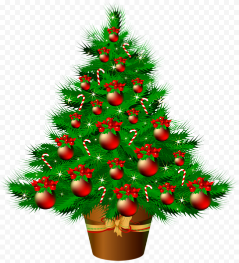 fir pine family christmas decoration for christmas 12