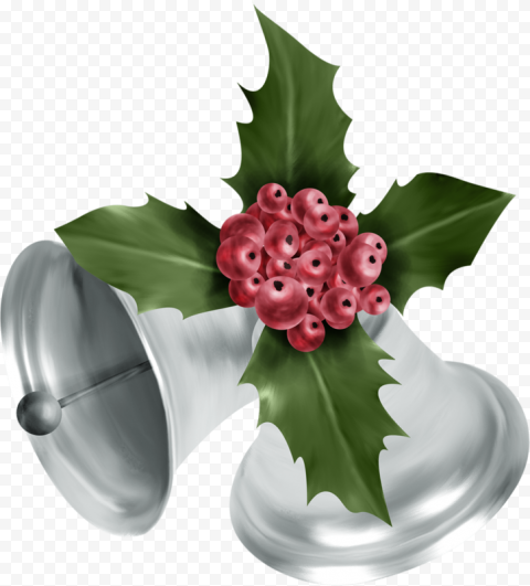 flower plant flowerpot for christmas