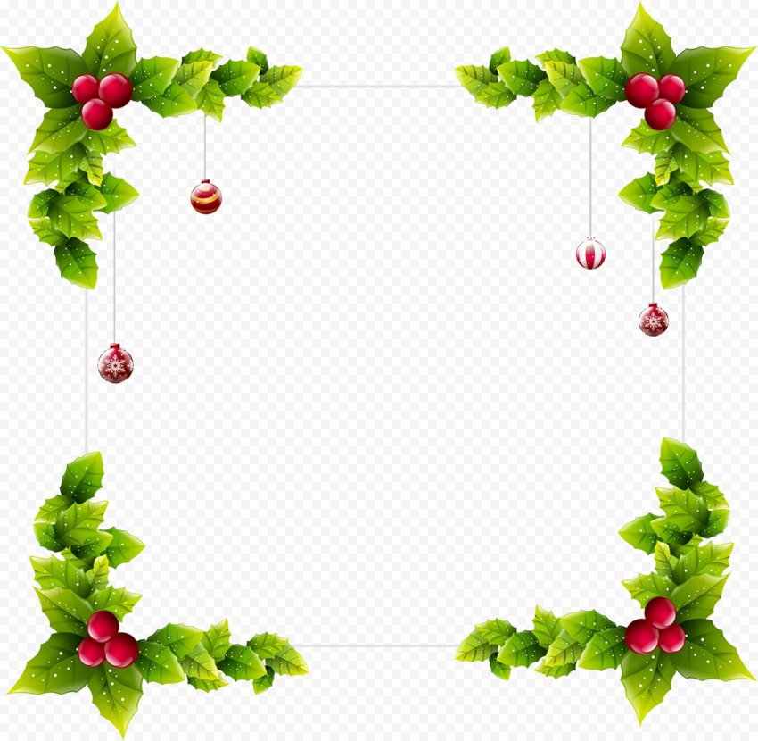 leaf fruit branch for christmas