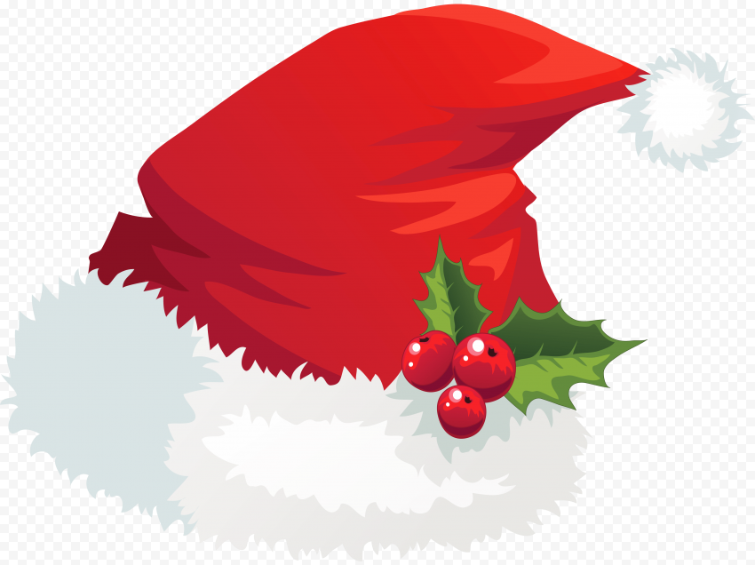 Christmas Santa Claus Hat Mistletoe