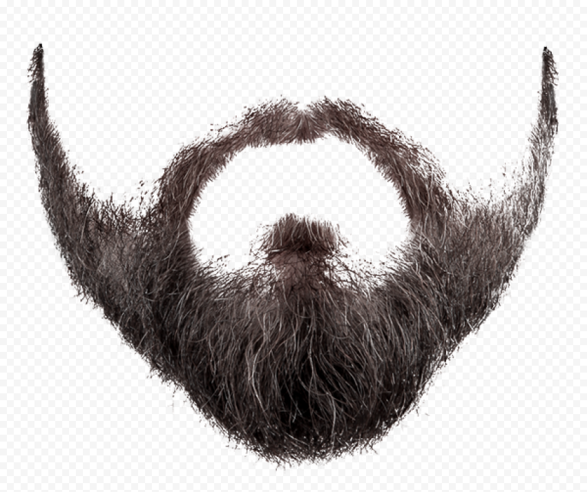 Black beard illustration, Beard graphy, beard and moustache, people, snout