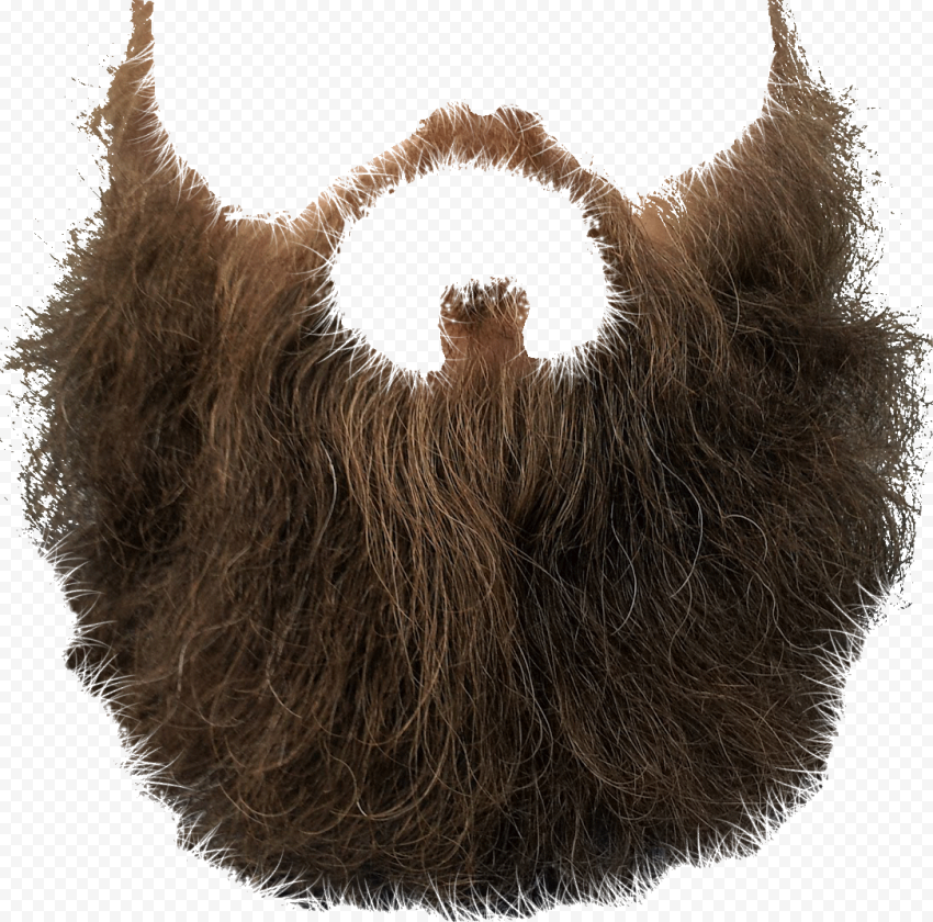 Beard, Beard, bear illustration
