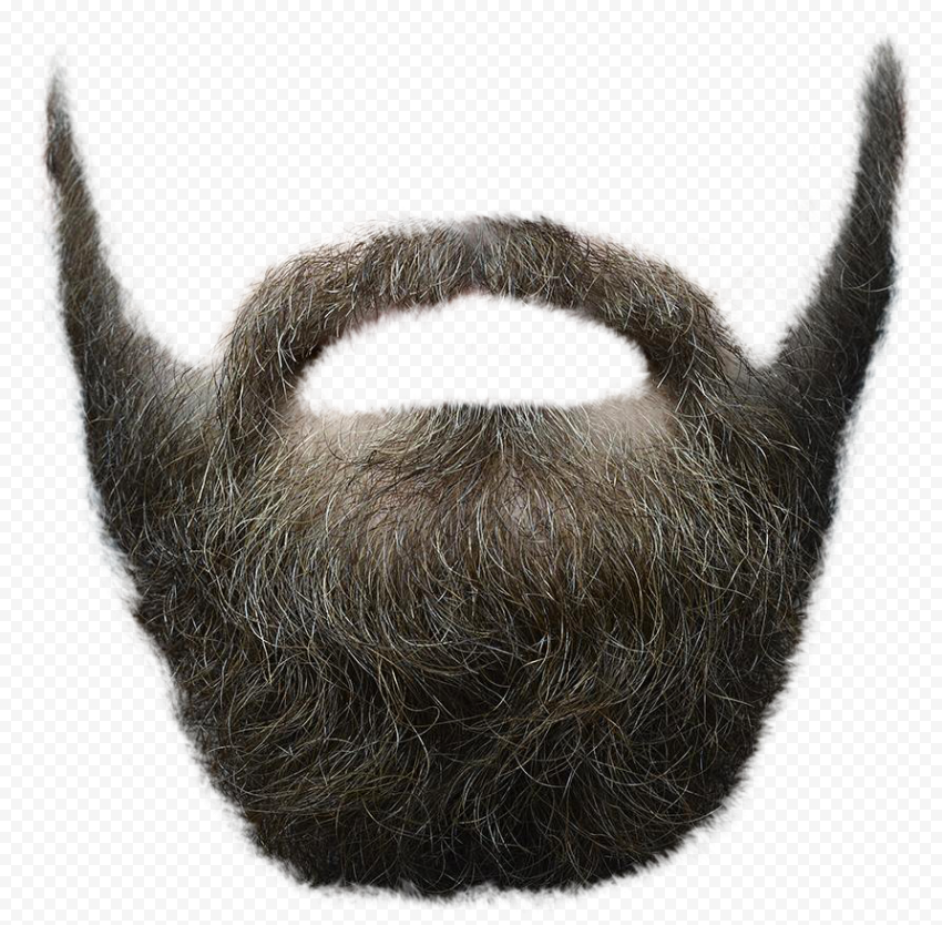Beard, Beard, bear illustration,