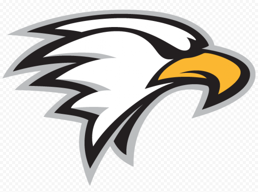 Bald Eagle Accipitridae, eagle, animals, logo, bald Eagle 
