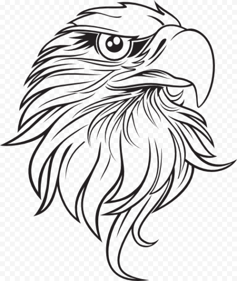 Bald Eagle Drawing, Eagle Outline s, pencil, monochrome, vertebrate 