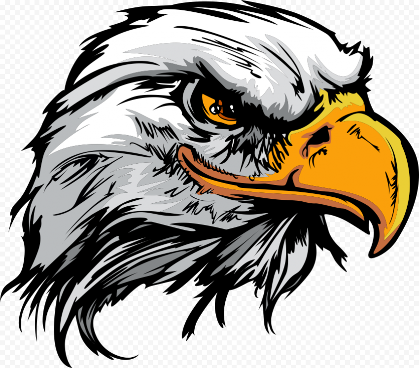 Bald Eagle Logo, cartoon eagle, animals, carnivoran, vertebrate