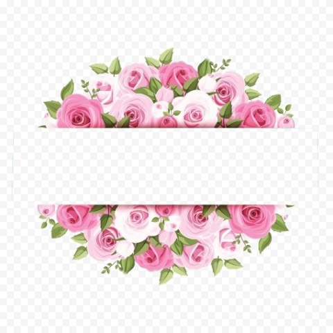 Rose Pink Flower graphy, Pink watercolor flower borders, pink rose artworkj, 