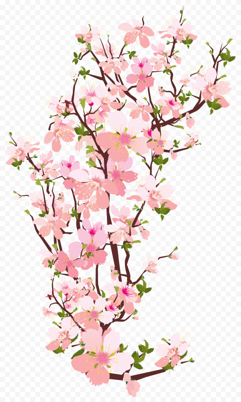 Blossom Flower Branch, flower, flower Arranging, leaf, tree Branch