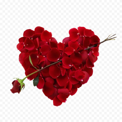 Rose Heart PNG Free Download