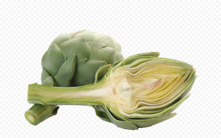 Download artichokes clipart