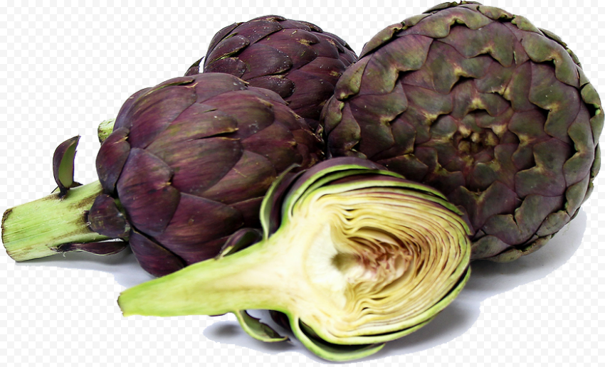 Download artichokes photos