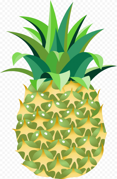 Download Clipart  pineapple png image