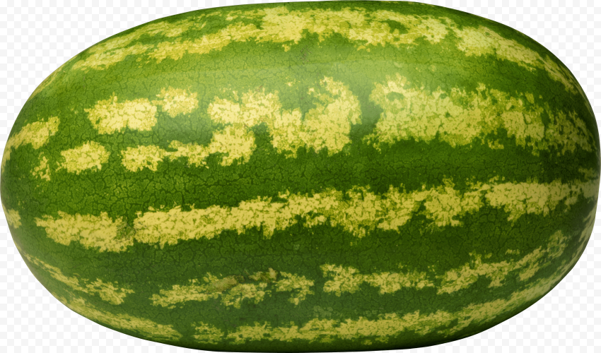 All watermelon png image