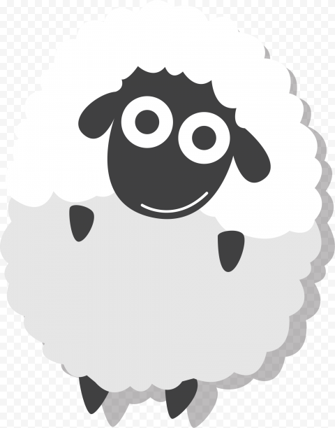  pakistan shaukat khanum memorial cancer hospital eid al fitr white lovely sheep