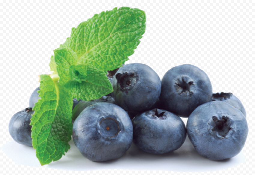blueberry transparent