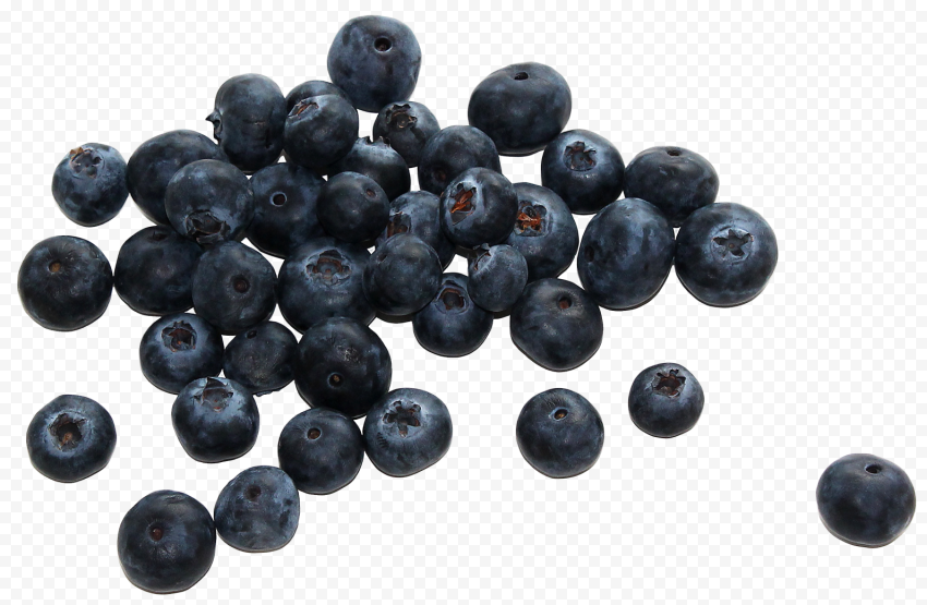 blueberry transparent 1