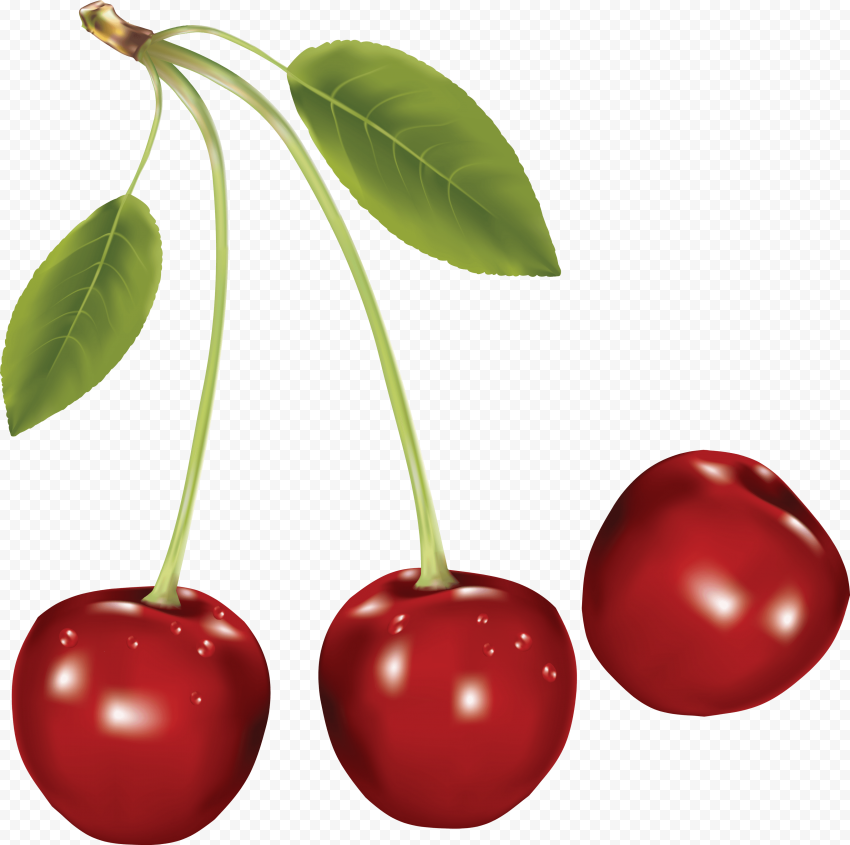 10 cherries png image