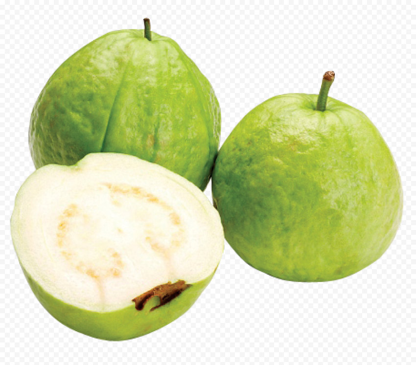 guava png picture