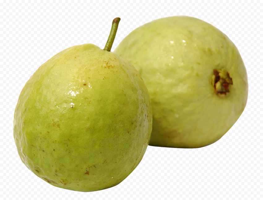  guava png file