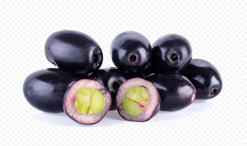 jamun java plum clipart