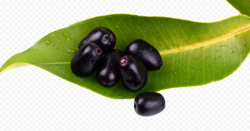 jamun java plum transparent background