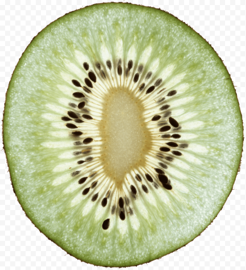 kiwi png image fruit kiwi png pictures download 3