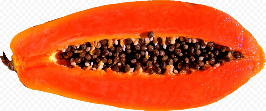 24583 9 papaya transparent