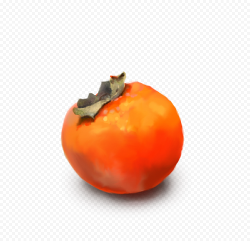persimmon png picture