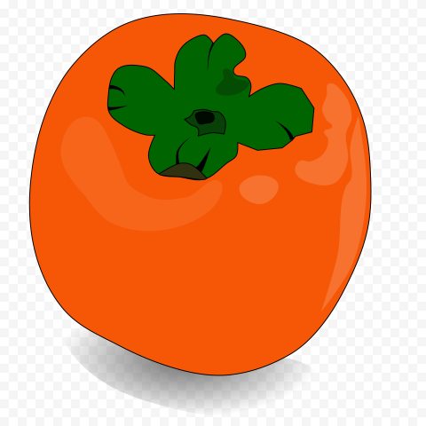 persimmon png