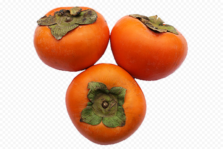 persimmon png clipart