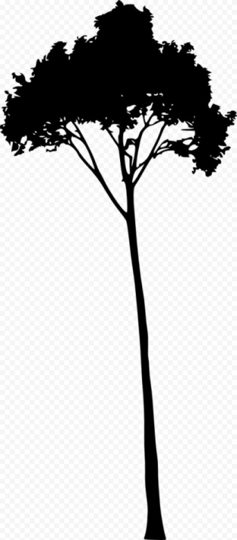 palm tree silhouette png free