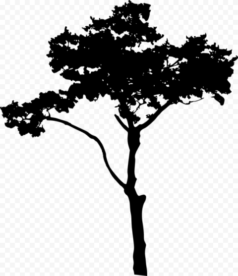 family tree silhouette png