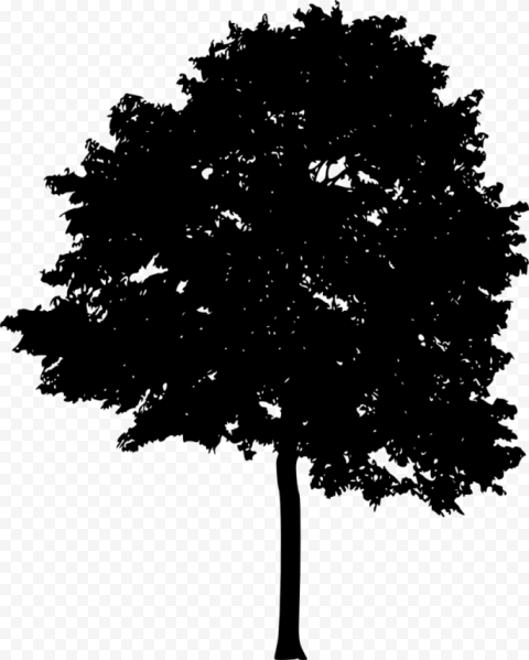tree silhouette transparent png