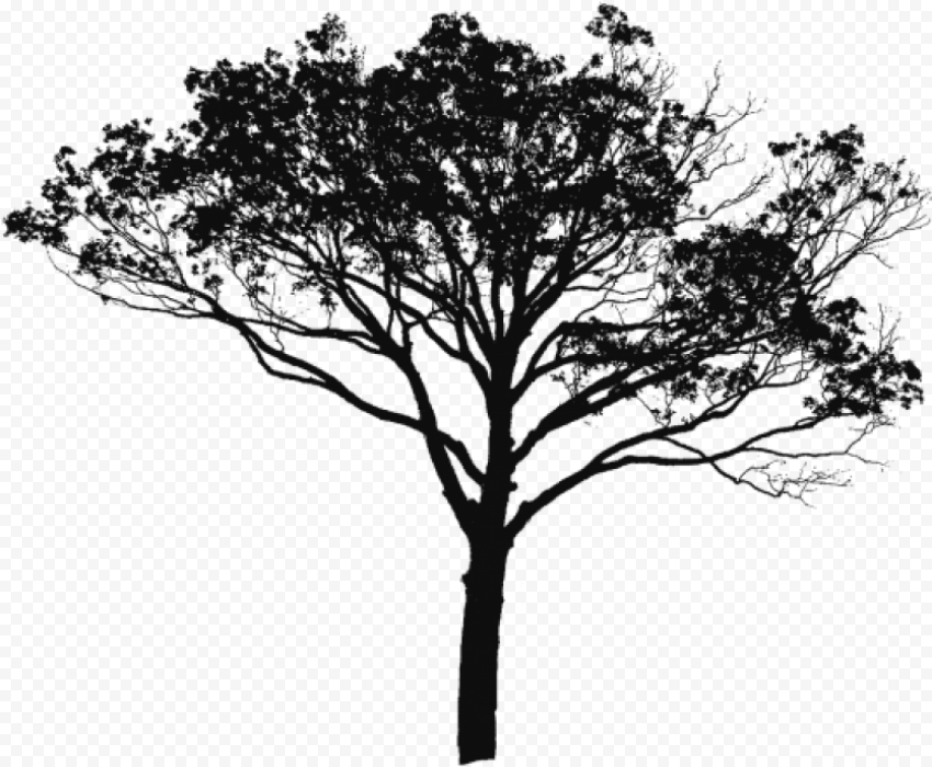 tree vector black and white tree vector clipart tree sunset image of scenery