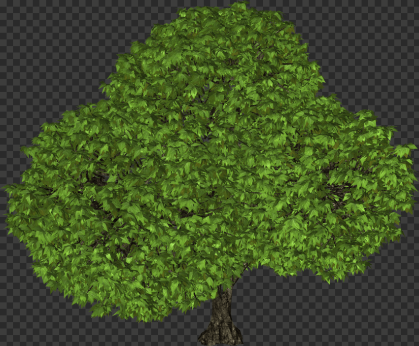 tree png logo