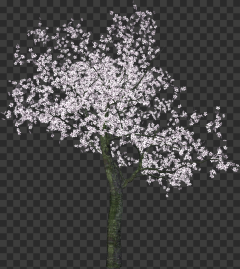 tree png art