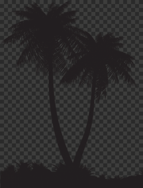 in by alan on bookshelves palm tree silhouette 451x591