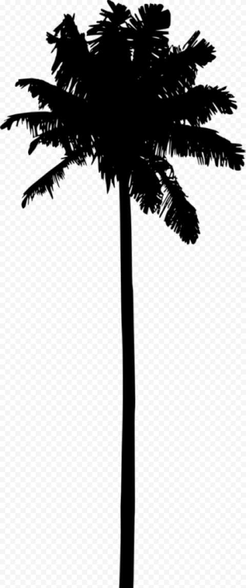 palm tree silhouette png free,